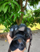 Canon 700d